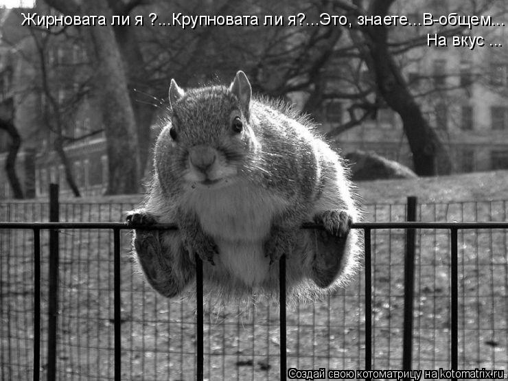 Котоматрица: Жирновата ли я ?...Крупновата ли я?...Это, знаете...В-общем... На вкус ...