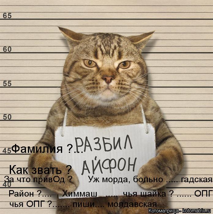 Как звать ? За что привОд ? Уж морда, больно ..... гадская Район ?.... Химмаш ..... чья ш... Котоматрица: Как звать ? За что привОд ? Уж морда, больно ..... гадская Район ?.... Химмаш ..... чья шайка ? ...... ОПГ чья ОПГ ?....... пиши.... молдавская Фамилия ?