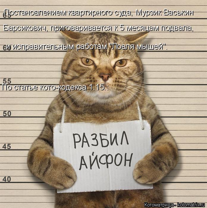 Постановлением квартирного суда, Мурзик Васькин Барсикович, приговаривается к 5 месяцам подвала, и и... Котоматрица: Постановлением квартирного суда, Мурзик Васькин Барсикович, приговаривается к 5 месяцам подвала, и исправительным работам "Ловля мышей". П