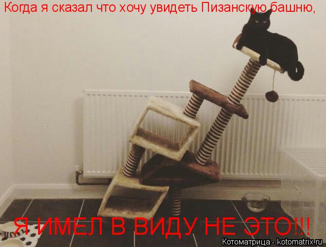 Когда я сказал что хочу увидеть Пизанскую башню, Я ИМЕЛ В ВИДУ НЕ ЭТО!!!... Котоматрица: Когда я сказал что хочу увидеть Пизанскую башню, Я ИМЕЛ В ВИДУ НЕ ЭТО!!!