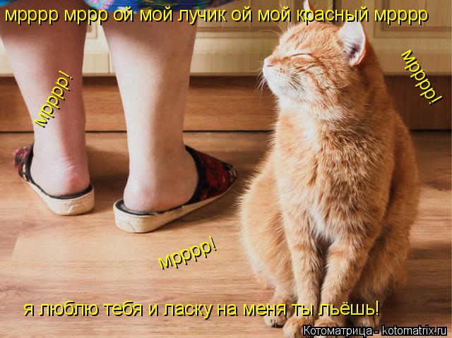мрррр мррр ой мой лучик ой мой красный мрррр я люблю тебя и ласку на меня ты льёшь! мрррр! мрррр! ... Котоматрица: мрррр мррр ой мой лучик ой мой красный мрррр я люблю тебя и ласку на меня ты льёшь! мрррр! мрррр! мрррр!