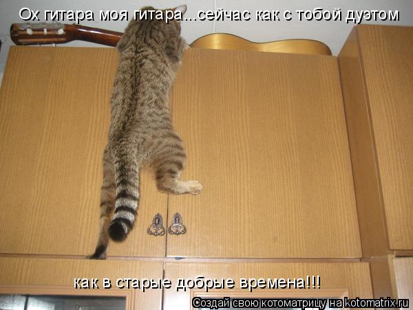 Ох гитара моя гитара...сейчас как с тобой дуэтом как в старые добрые времена!!!... Котоматрица: Ох гитара моя гитара...сейчас как с тобой дуэтом как в старые добрые времена!!!