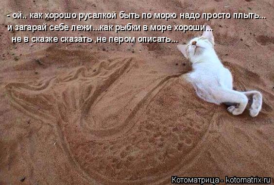 - ой.. как хорошо русалкой быть по морю надо просто плыть... и загарай себе лежи...как рыбки в море ... Котоматрица: - ой.. как хорошо русалкой быть по морю надо просто плыть... и загарай себе лежи...как рыбки в море хороши... не в сказке сказать ,не пером описа