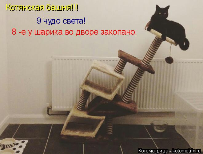 Котянская башня!!! 9 чудо света! 8 -е у шарика во дворе закопано.... Котоматрица: Котянская башня!!! 9 чудо света! 8 -е у шарика во дворе закопано.