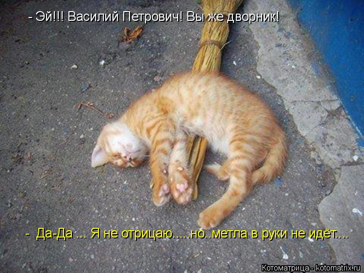 - Эй!!! Василий Петрович! Вы же дворник! - Да-Да ... Я не отрицаю.....но..метла в руки не идёт....... Котоматрица: - Эй!!! Василий Петрович! Вы же дворник! - Да-Да ... Я не отрицаю.....но..метла в руки не идёт....