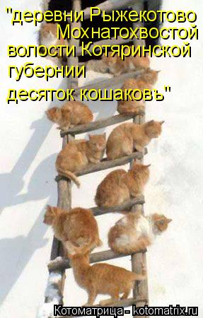 "деревни Рыжекотово Мохнатохвостой волости Котяринской губернии десяток кошаковъ"... Котоматрица: "деревни Рыжекотово Мохнатохвостой волости Котяринской губернии десяток кошаковъ"