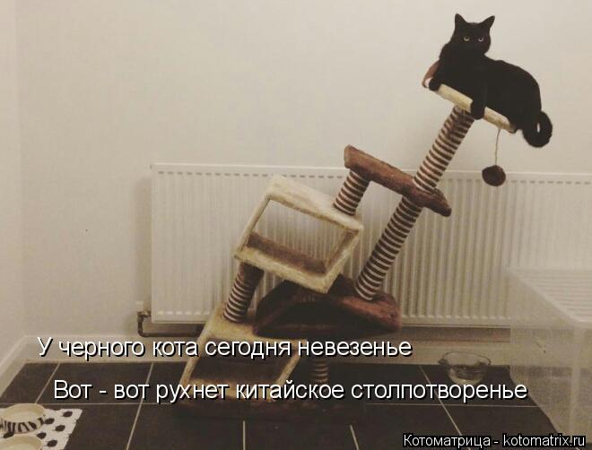 Вот - вот рухнет китайское столпотворенье У черного кота сегодня невезенье... Котоматрица: Вот - вот рухнет китайское столпотворенье У черного кота сегодня невезенье