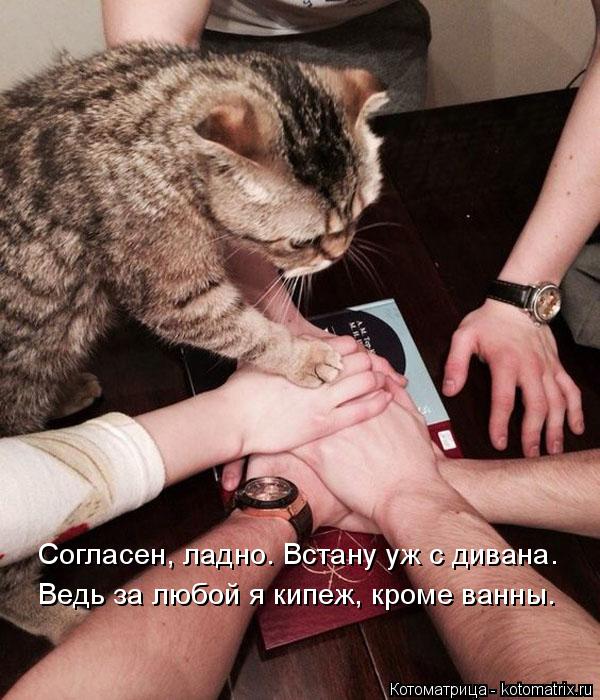 Согласен, ладно. Встану уж с дивана. Ведь за любой я кипеж, кроме ванны.... Котоматрица: Согласен, ладно. Встану уж с дивана. Ведь за любой я кипеж, кроме ванны.