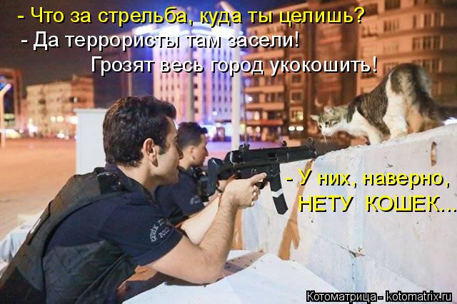 - Что за стрельба, куда ты целишь? - Да террористы там засели! Грозят весь город укокошить! - У них, ... Котоматрица: - Что за стрельба, куда ты целишь? - Да террористы там засели! Грозят весь город укокошить! - У них, наверно, НЕТУ КОШЕК...