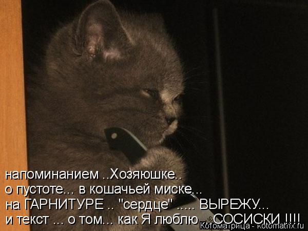 напоминанием ..Хозяюшке.. о пустоте... в кошачьей миске... на ГАРНИТУРЕ .. "сердце" ..... ВЫРЕЖУ... и... Котоматрица: напоминанием ..Хозяюшке.. о пустоте... в кошачьей миске... на ГАРНИТУРЕ .. "сердце" ..... ВЫРЕЖУ... и текст ... о том... как Я люблю ...СОСИСКИ !!!!