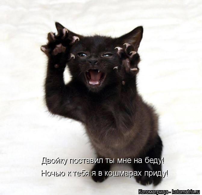 Ночью к тебя я в кошмарах приду! Двойку поставил ты мне на беду!... Котоматрица: Ночью к тебя я в кошмарах приду! Двойку поставил ты мне на беду!