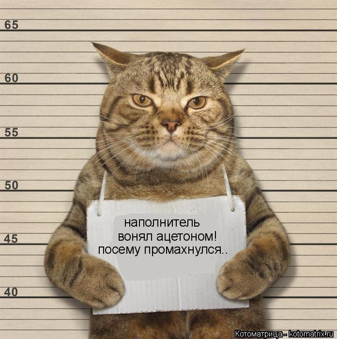 наполнитель вонял ацетоном! посему промахнулся..... Котоматрица: наполнитель вонял ацетоном! посему промахнулся..