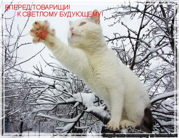 ВПЕРЕД,ТОВАРИЩИ! К СВЕТЛОМУ БУДУЮЩЕМУ!... Котоматрица: ВПЕРЕД,ТОВАРИЩИ! К СВЕТЛОМУ БУДУЮЩЕМУ!