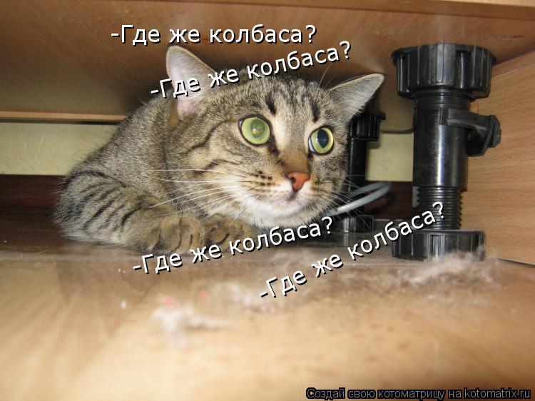 -Где же колбаса? -Где же колбаса? -Где же колбаса? -Где же колбаса? -Где же колбаса?... Котоматрица: -Где же колбаса? -Где же колбаса? -Где же колбаса? -Где же колбаса? -Где же колбаса?