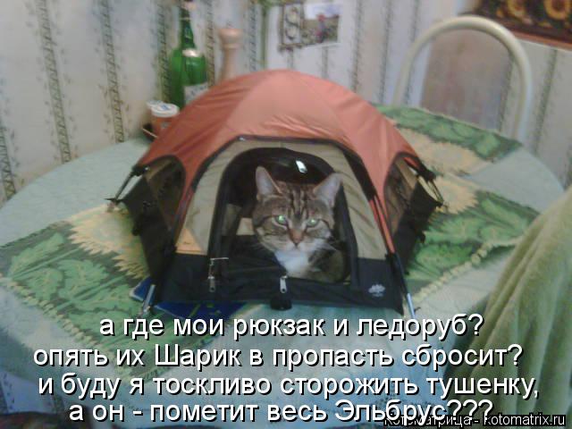 а где мои рюкзак и ледоруб? опять их Шарик в пропасть сбросит? и буду я тоскливо сторожить тушенку, ... Котоматрица: а где мои рюкзак и ледоруб? опять их Шарик в пропасть сбросит? и буду я тоскливо сторожить тушенку, а он - пометит весь Эльбрус???