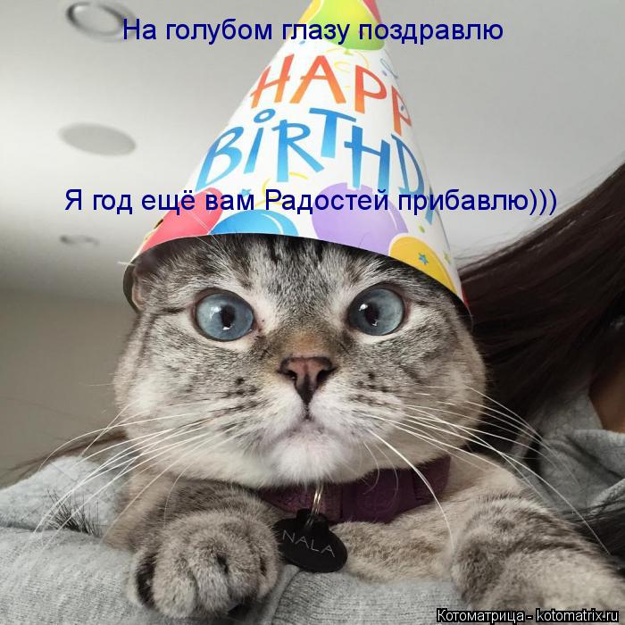 На голубом глазу поздравлю Я год ещё вам Радостей прибавлю)))... Котоматрица: На голубом глазу поздравлю Я год ещё вам Радостей прибавлю)))
