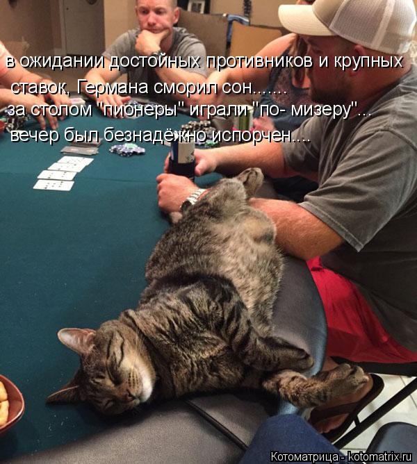 в ожидании достойных противников и крупных за столом "пионеры" играли "по- мизеру"... вечер был безна... Котоматрица: в ожидании достойных противников и крупных за столом "пионеры" играли "по- мизеру"... вечер был безнадёжно испорчен.... ставок, Германа сморил