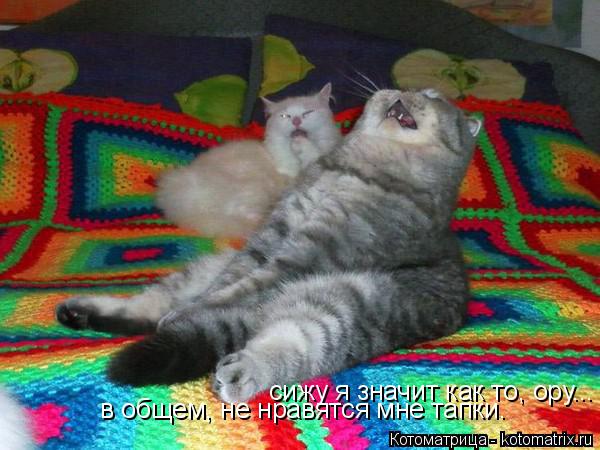 сижу я значит как то, ору... в общем, не нравятся мне тапки.... Котоматрица: сижу я значит как то, ору... в общем, не нравятся мне тапки.