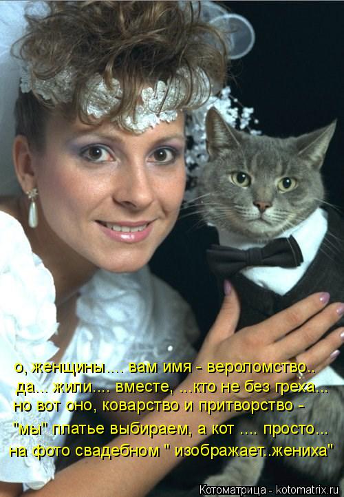 о, женщины.... вам имя - вероломство.. но вот оно, коварство и притворство - "мы" платье выбираем, а... Котоматрица: о, женщины.... вам имя - вероломство.. но вот оно, коварство и притворство - "мы" платье выбираем, а кот .... просто... да... жили.... вместе, ...кто не бе