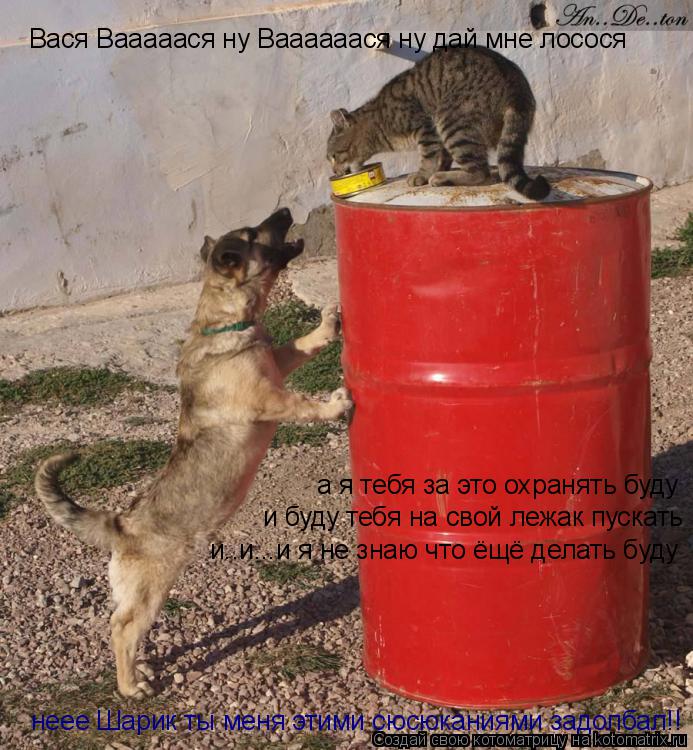 Вася Вааааася ну Ваааааася ну дай мне лосося а я тебя за это охранять буду и буду тебя на свой лежак ... Котоматрица: Вася Вааааася ну Ваааааася ну дай мне лосося а я тебя за это охранять буду и буду тебя на свой лежак пускать и..и...и я не знаю что ёщё делать б