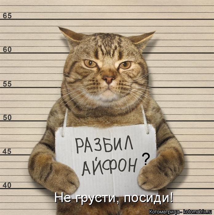 ? Не грусти, посиди!... Котоматрица: ? Не грусти, посиди!