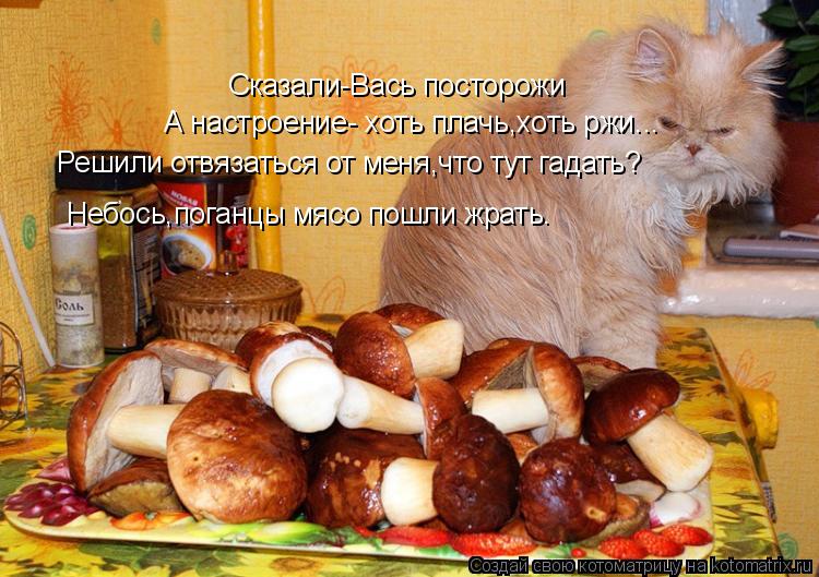 Сказали-Вась посторожи Решили отвязаться от меня,что тут гадать? Небось,поганцы мясо пошли жрать. А ... Котоматрица: Сказали-Вась посторожи Решили отвязаться от меня,что тут гадать? Небось,поганцы мясо пошли жрать. А настроение- хоть плачь,хоть ржи...