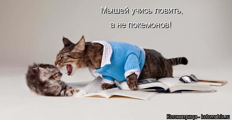 Мышей учись ловить, а не покемонов!... Котоматрица: Мышей учись ловить, а не покемонов!