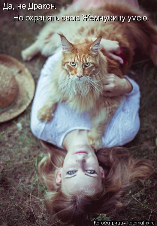 Да, не Дракон. Но охранять свою Жемчужину умею.... Котоматрица: Да, не Дракон. Но охранять свою Жемчужину умею.