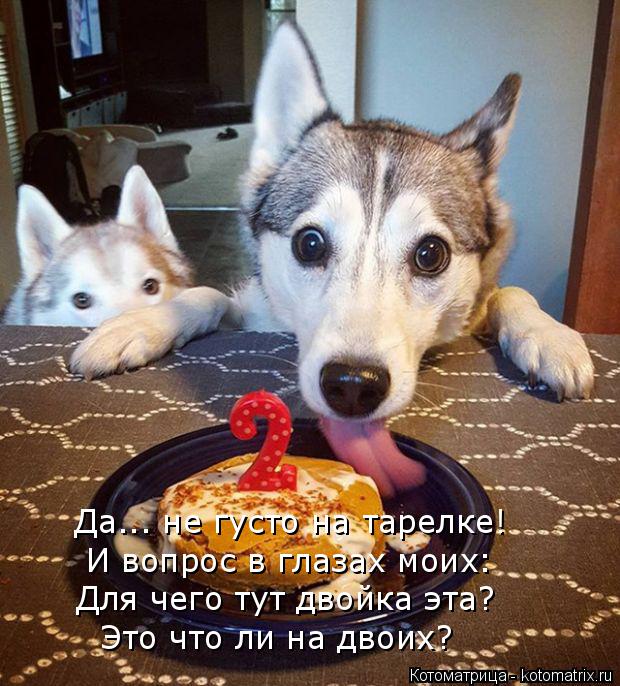 Да... не густо на тарелке! И вопрос в глазах моих: Для чего тут двойка эта? Это что ли на двоих?... Котоматрица: Да... не густо на тарелке! И вопрос в глазах моих: Для чего тут двойка эта? Это что ли на двоих?