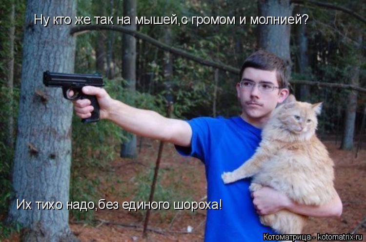 Ну кто же так на мышей,с громом и молнией? Их тихо надо,без единого шороха!... Котоматрица: Ну кто же так на мышей,с громом и молнией? Их тихо надо,без единого шороха!