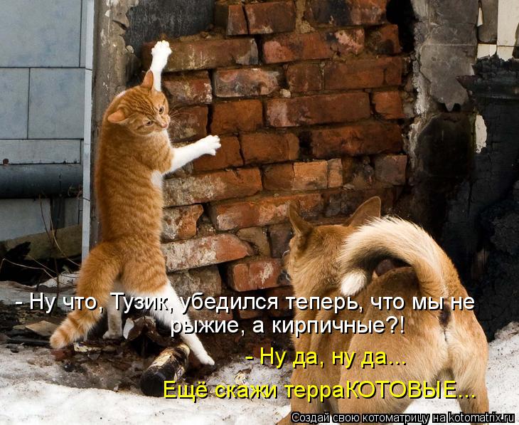 - Ну что, Тузик, убедился теперь, что мы не рыжие, а кирпичные?! - Ну да, ну да... Ещё скажи терраКОТ... Котоматрица: - Ну что, Тузик, убедился теперь, что мы не рыжие, а кирпичные?! - Ну да, ну да... Ещё скажи терраКОТОВЫЕ...