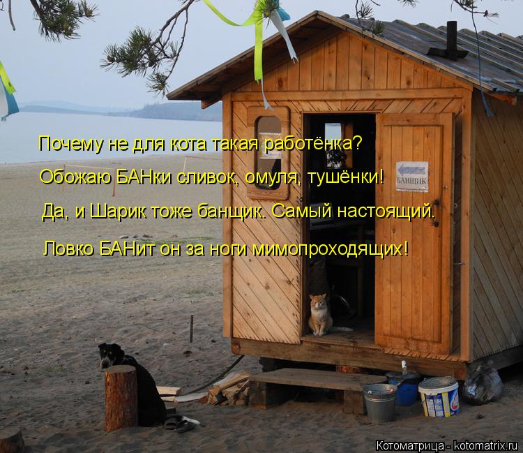 Почему не для кота такая работёнка? Обожаю БАНки сливок, омуля, тушёнки! Да, и Шарик тоже банщик. Сам... Котоматрица: Почему не для кота такая работёнка? Обожаю БАНки сливок, омуля, тушёнки! Да, и Шарик тоже банщик. Самый настоящий. Ловко БАНит он за ноги мимо