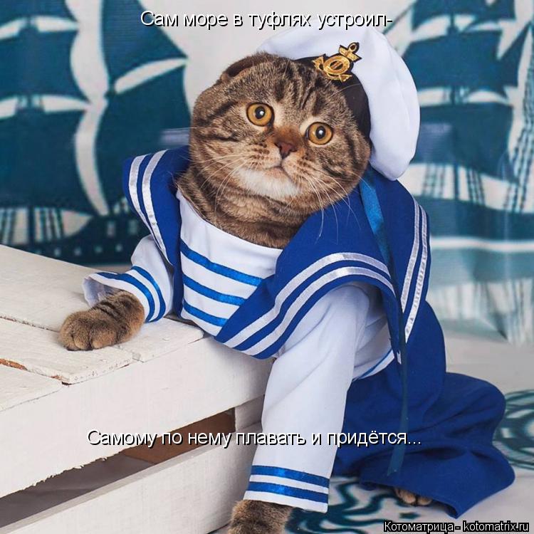 Сам море в туфлях устроил- Самому по нему плавать и придётся...... Котоматрица: Сам море в туфлях устроил- Самому по нему плавать и придётся...