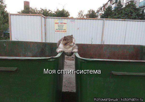 Моя сплит-система... Котоматрица: Моя сплит-система