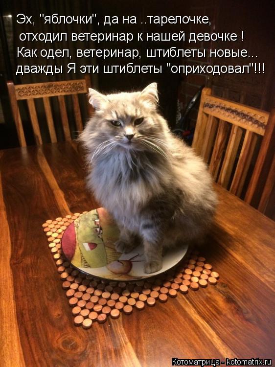 отходил ветеринар к нашей девочке ! Как одел, ветеринар, штиблеты новые... дважды Я эти штиблеты "опр... Котоматрица: отходил ветеринар к нашей девочке ! Как одел, ветеринар, штиблеты новые... дважды Я эти штиблеты "оприходовал"!!! Эх, "яблочки", да на ..тарелочке