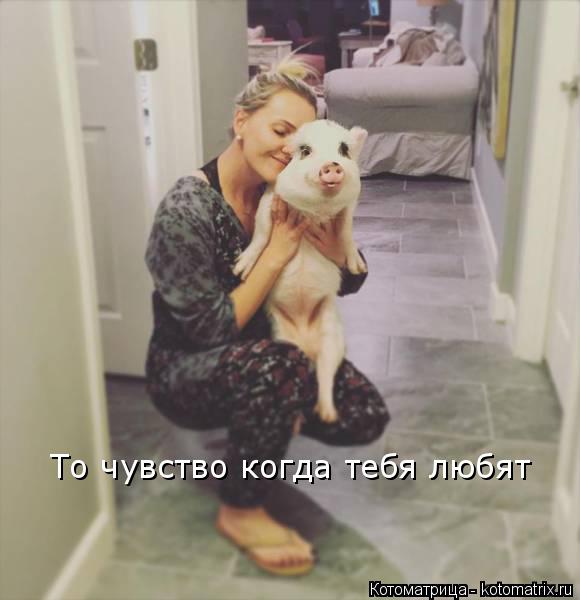 Котоматрица: То чувство когда тебя любят