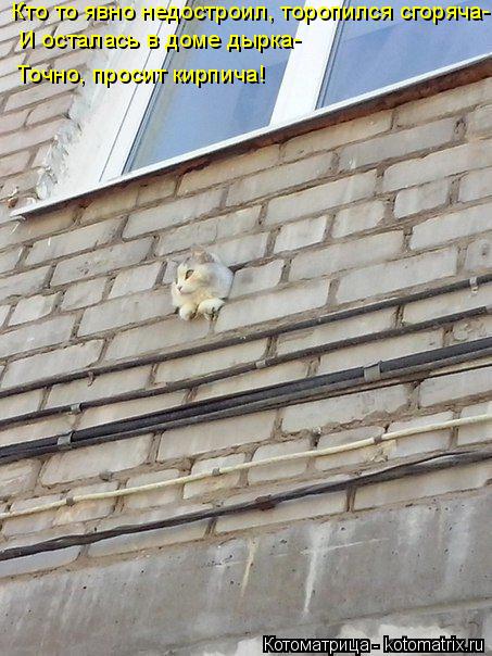 Котоматрица: Кто то явно недостроил, торопился сгоряча- И осталась в доме дырка-    Точно, просит кирпича!