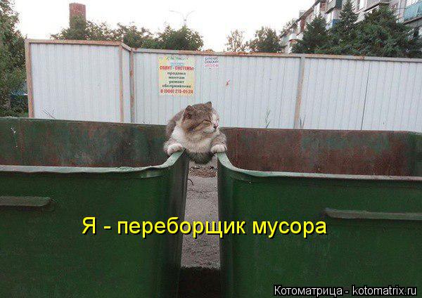 Я - переборщик мусора... Котоматрица: Я - переборщик мусора