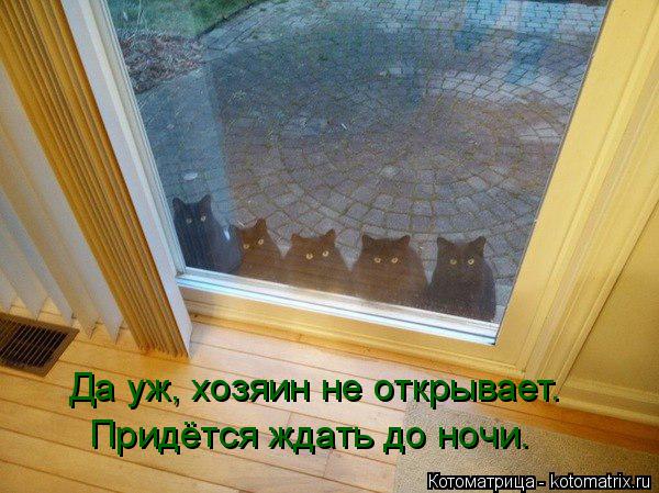 Да уж, хозяин не открывает. Придётся ждать до ночи.... Котоматрица: Да уж, хозяин не открывает. Придётся ждать до ночи.