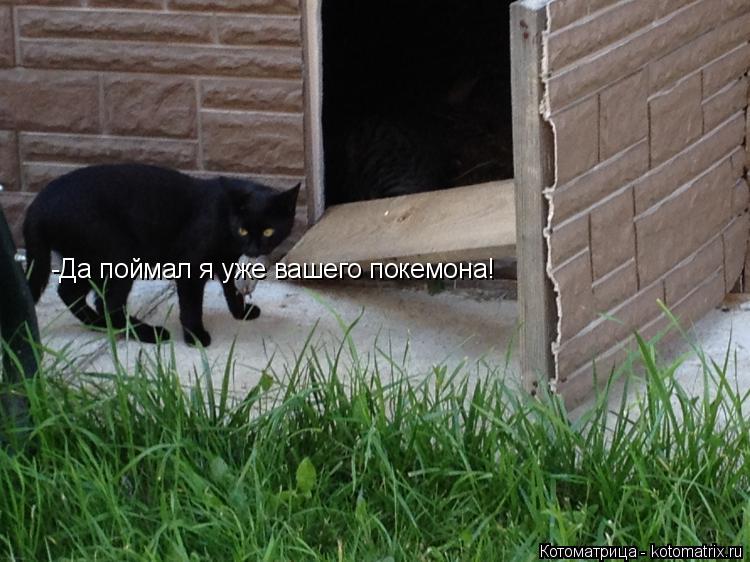 Котоматрица: -Да поймал я уже вашего покемона!