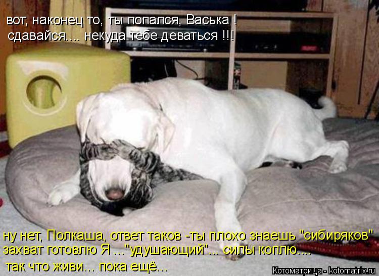 вот, наконец то, ты попался, Васька ! сдавайся.... некуда тебе деваться !!! ну нет, Полкаша, ответ та... Котоматрица: вот, наконец то, ты попался, Васька ! сдавайся.... некуда тебе деваться !!! ну нет, Полкаша, ответ таков -ты плохо знаешь "сибиряков" захват готов