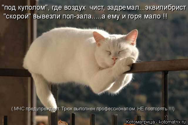 Котоматрица: "под куполом", где воздух  чист, задремал...эквилибрист "скорой" вывезли пол-зала.....а ему и горя мало !! ( МЧС предупреждает. Трюк выполнен профе