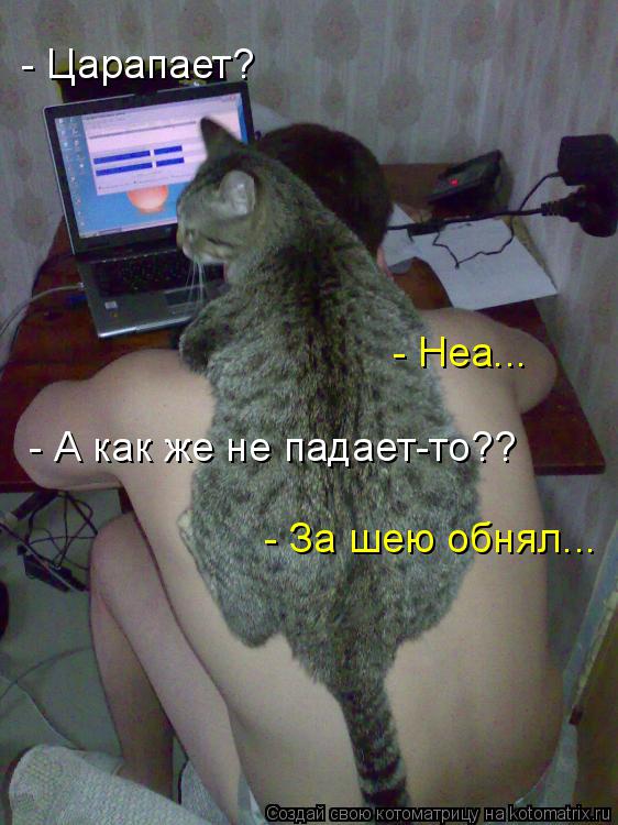 - Царапает? - Неа... - А как же не падает-то?? - За шею обнял...... Котоматрица: - Царапает? - Неа... - А как же не падает-то?? - За шею обнял...