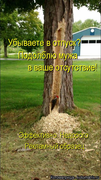 Убываете в отпуск? Подолблю мужа в ваше отсутствие! Эффективно. Недорого. Рекламный образец.... Котоматрица: Убываете в отпуск? Подолблю мужа в ваше отсутствие! Эффективно. Недорого. Рекламный образец.