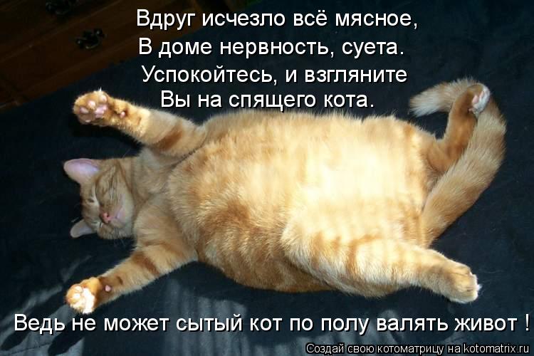 Вдруг исчезло всё мясное, В доме нервность, суета. Успокойтесь, и взгляните Вы на спящего кота. Ведь ... Котоматрица: Вдруг исчезло всё мясное, В доме нервность, суета. Успокойтесь, и взгляните Вы на спящего кота. Ведь не может сытый кот по полу валять живот !