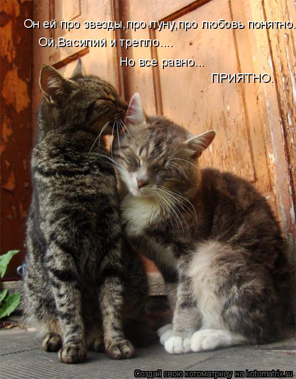 Он ей про звезды,про луну,про любовь понятно. Ой,Василий и трепло.... Но все равно... ПРИЯТНО.... Котоматрица: Он ей про звезды,про луну,про любовь понятно. Ой,Василий и трепло.... Но все равно... ПРИЯТНО.