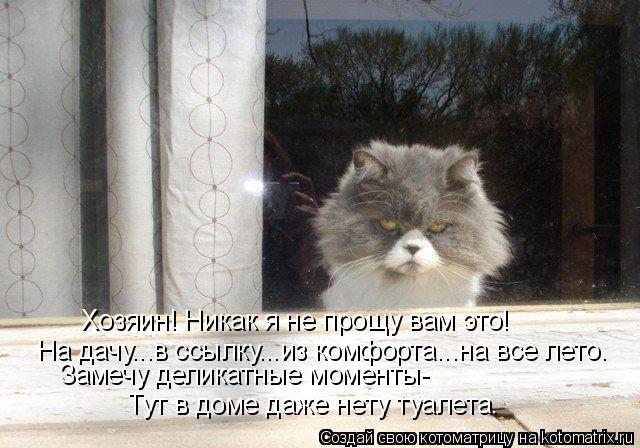 Хозяин! Никак я не прощу вам это! На дачу...в ссылку...из комфорта...на все лето. Замечу деликатные м... Котоматрица: Хозяин! Никак я не прощу вам это! На дачу...в ссылку...из комфорта...на все лето. Замечу деликатные моменты- Тут в доме даже нету туалета.
