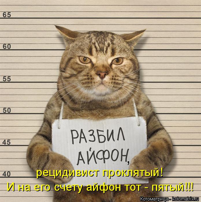 , рецидивист проклятый! И на его счету айфон тот - пятый!!!... Котоматрица: , рецидивист проклятый! И на его счету айфон тот - пятый!!!