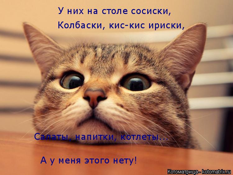 У них на столе сосиски, Колбаски, кис-кис ириски, Салаты, напитки, котлеты... А у меня этого нету!... Котоматрица: У них на столе сосиски, Колбаски, кис-кис ириски, Салаты, напитки, котлеты... А у меня этого нету!