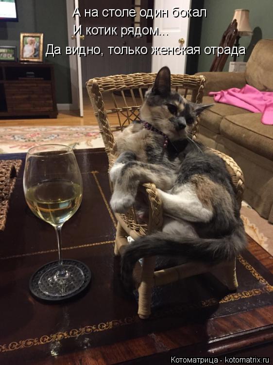А на столе один бокал И котик рядом... Да видно, только женская отрада... Котоматрица: А на столе один бокал И котик рядом... Да видно, только женская отрада